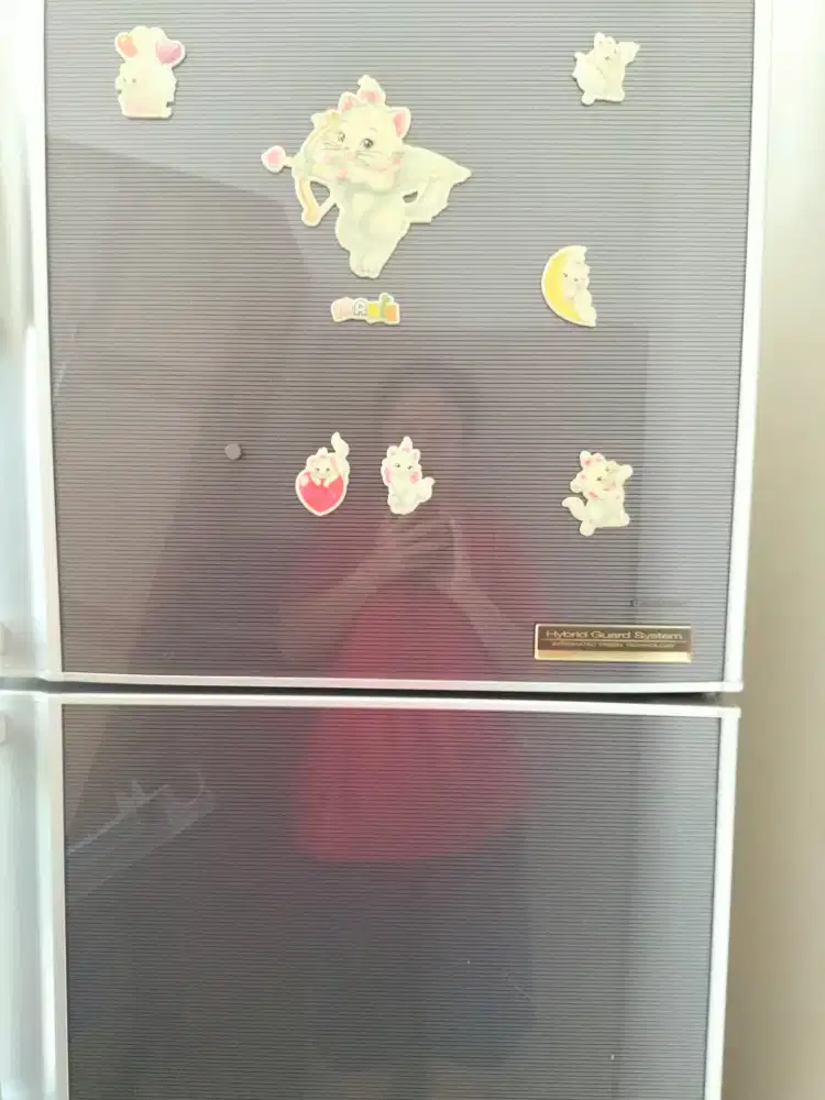 Kulkas 2 Pintu Toshiba Kapasitas BESAR