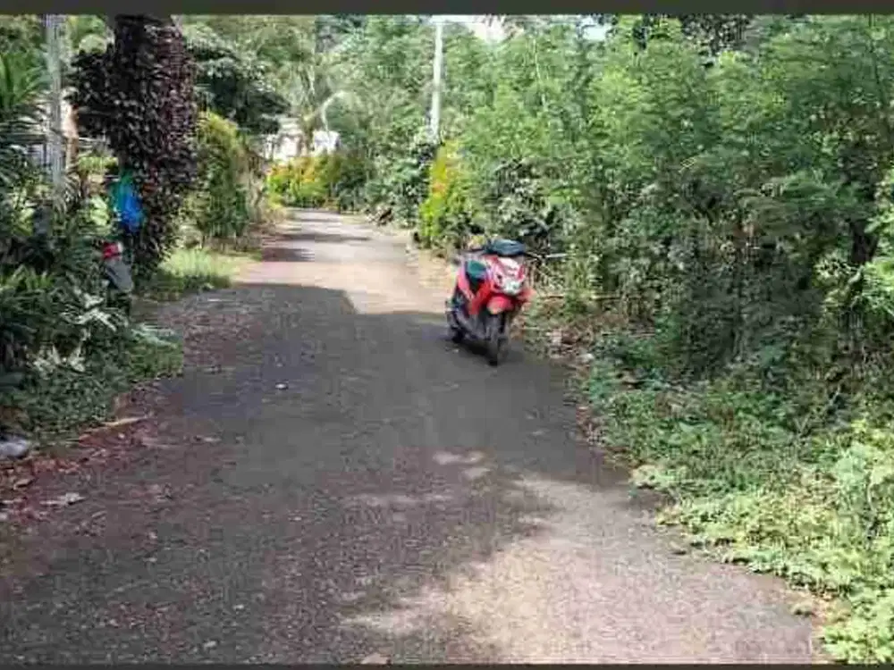 Kebun Produktif Siap Pakai Dekat Bilibili