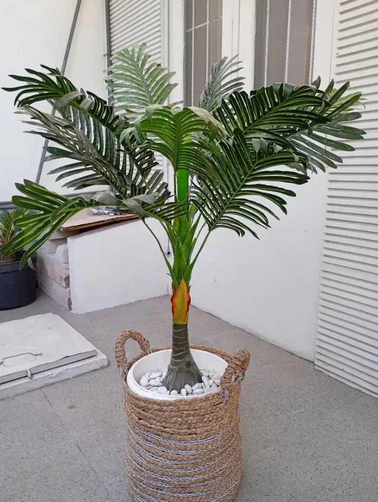 TANAMAN PLASTIK HIASAN OUTDOOR RUMAH