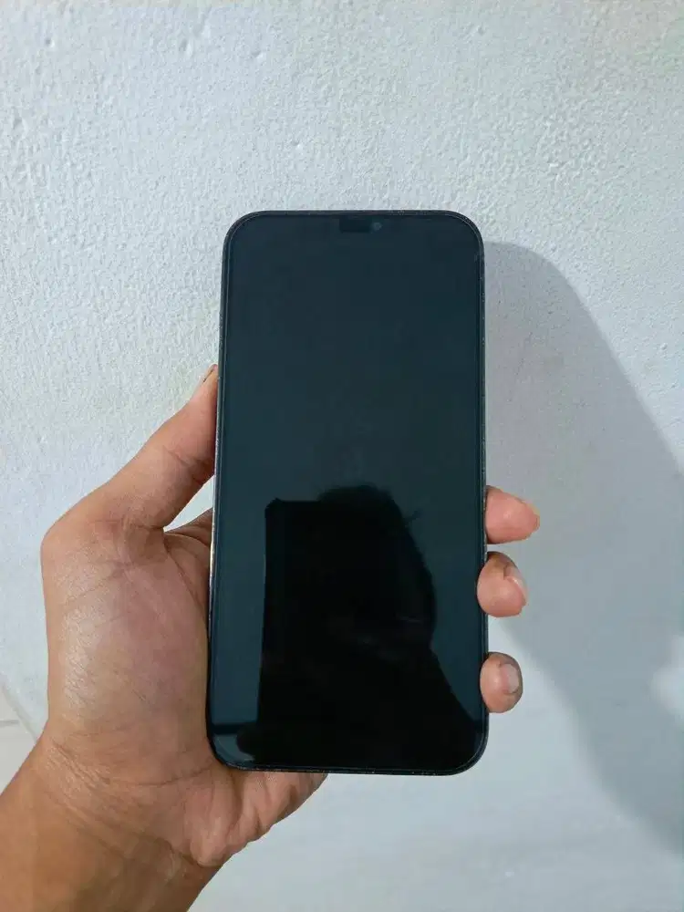 IPHONE 12 PRO MAX 128GB INTER LL/A