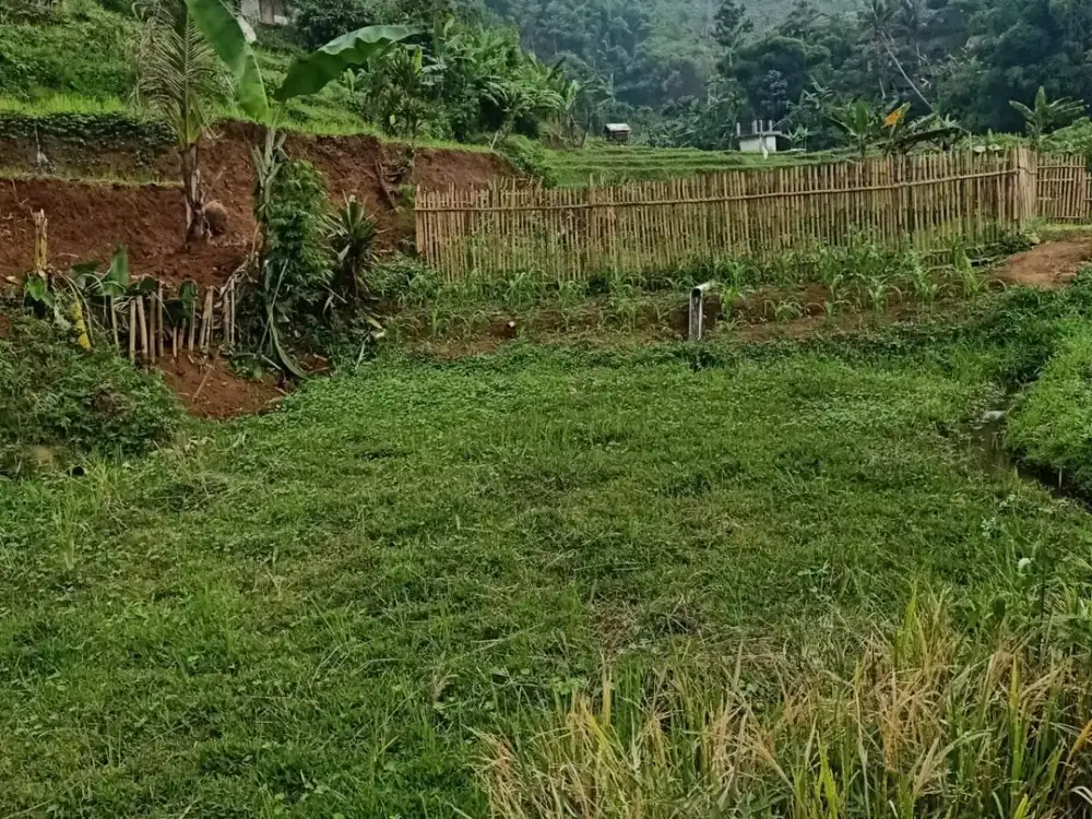 dijual sawah produktif di cicalengka dekat curug cinulang