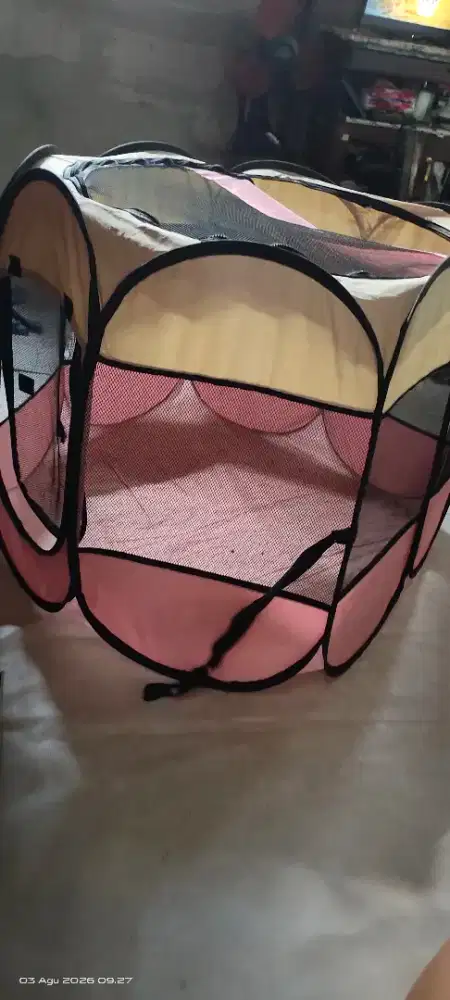 Tenda kandang kucing