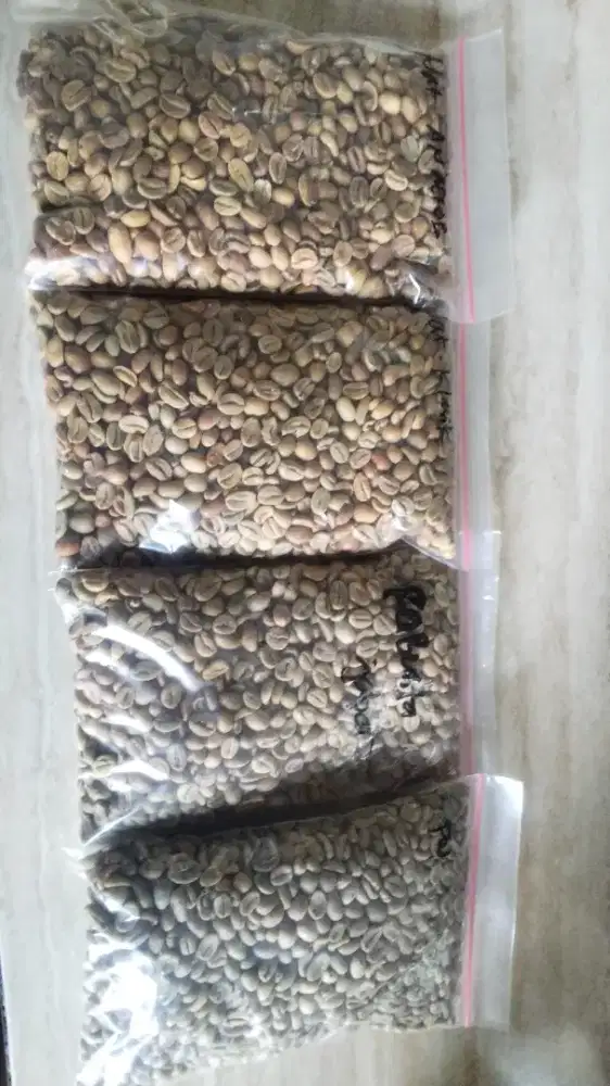 Biji kopi gread 1