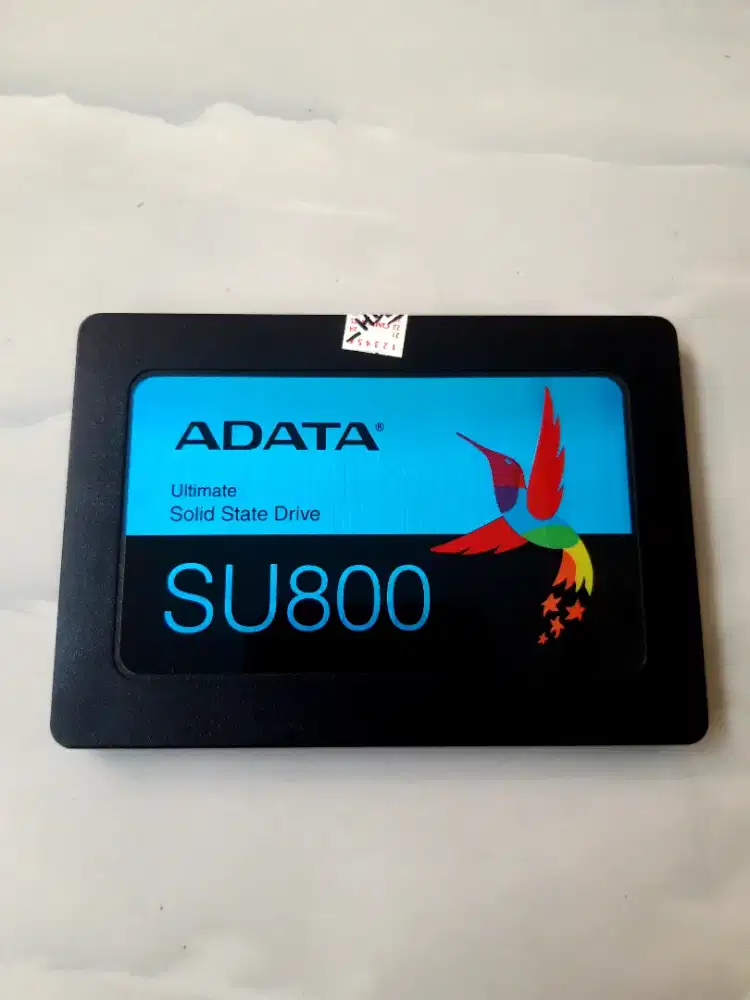 Ssd Adata SU800 512gb