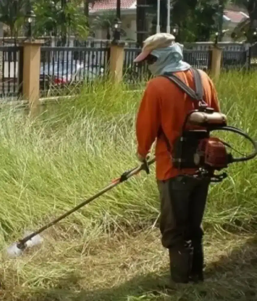 jasa potong rumput