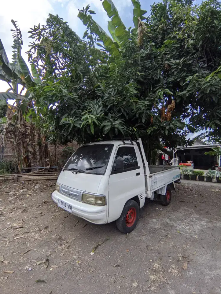 Pick-up Carry 2015