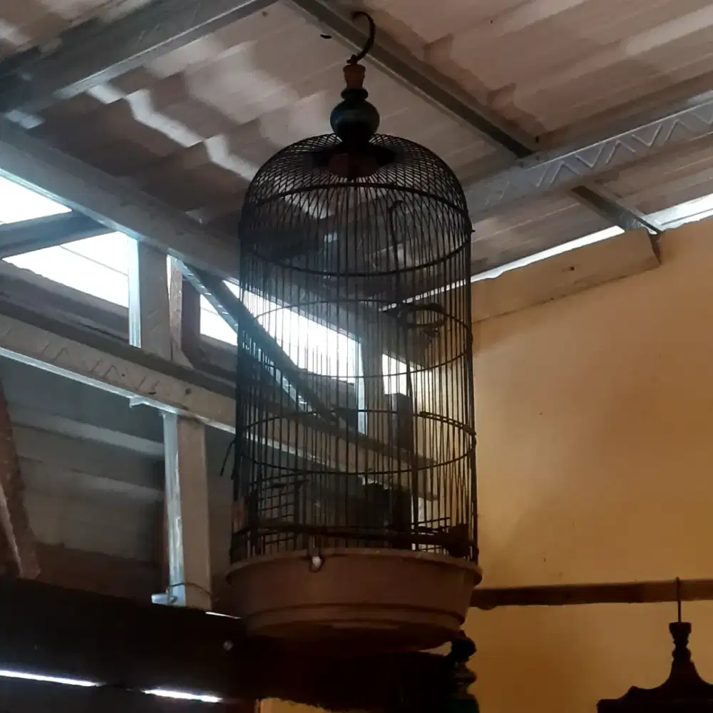 Sangkar burung labet jual murah bisa nego