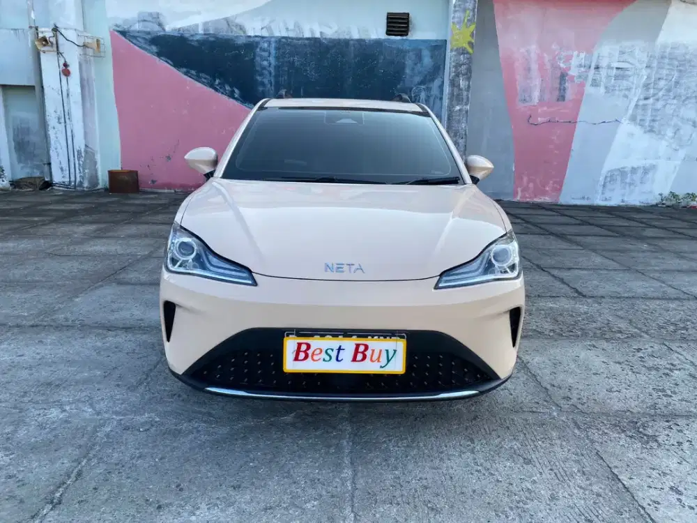 NETA V2 EV AT 2024