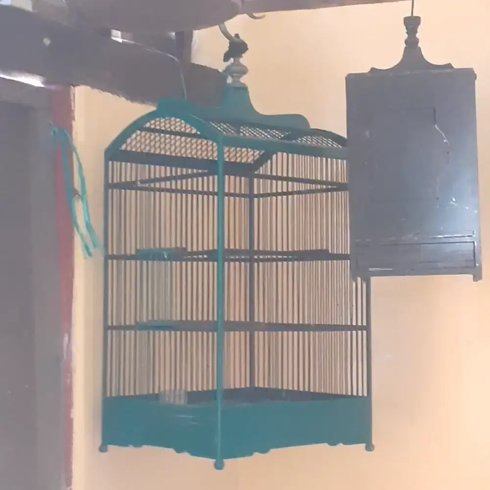 Sangkar burung uk 35x40 jual murah saja