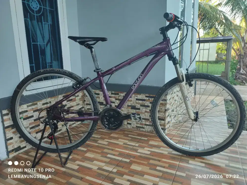 Sepeda polygon cleo