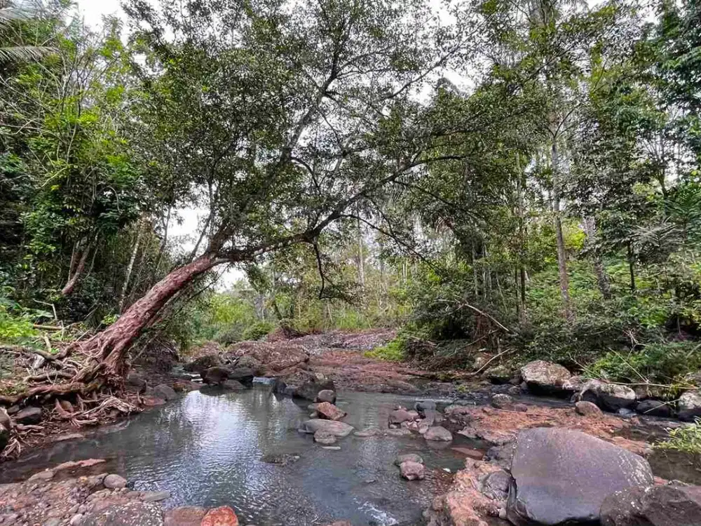 jual tanah Los sungai besar berbatu di desa wisata manikyang tabanan bali.