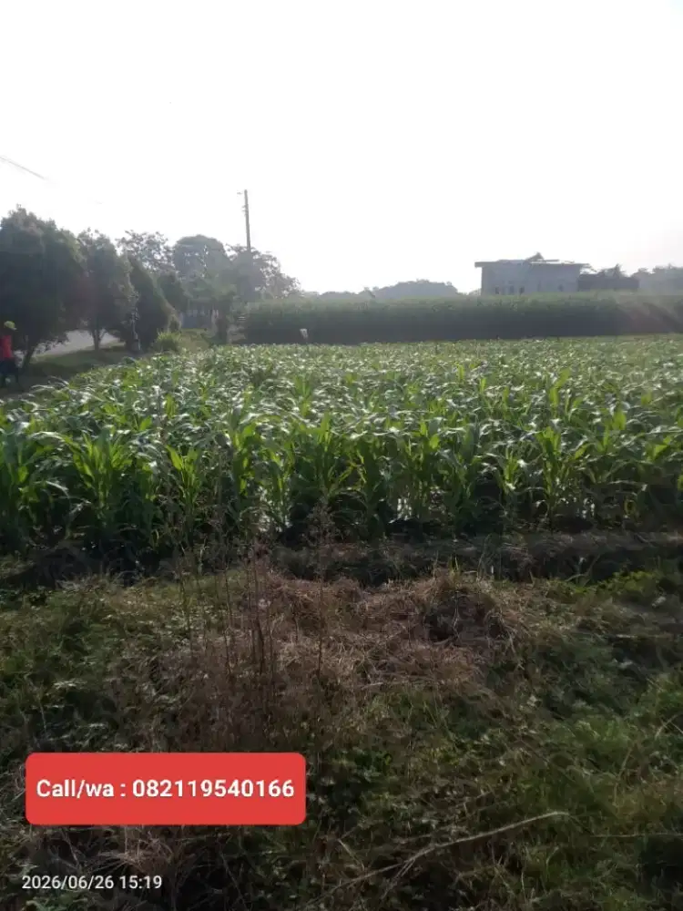 Tanah Industri Jatinom,Klaten