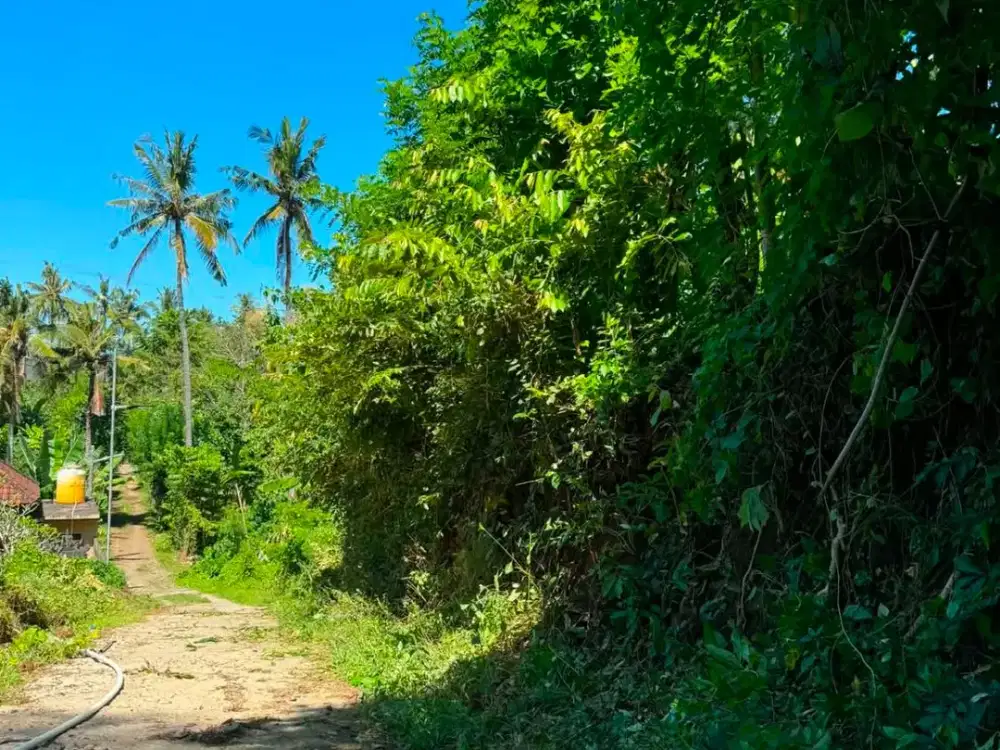 [FOR LEASE] Prime 8-Are Ocean View Land in Padangbai – Near Quenzo Beach Resort