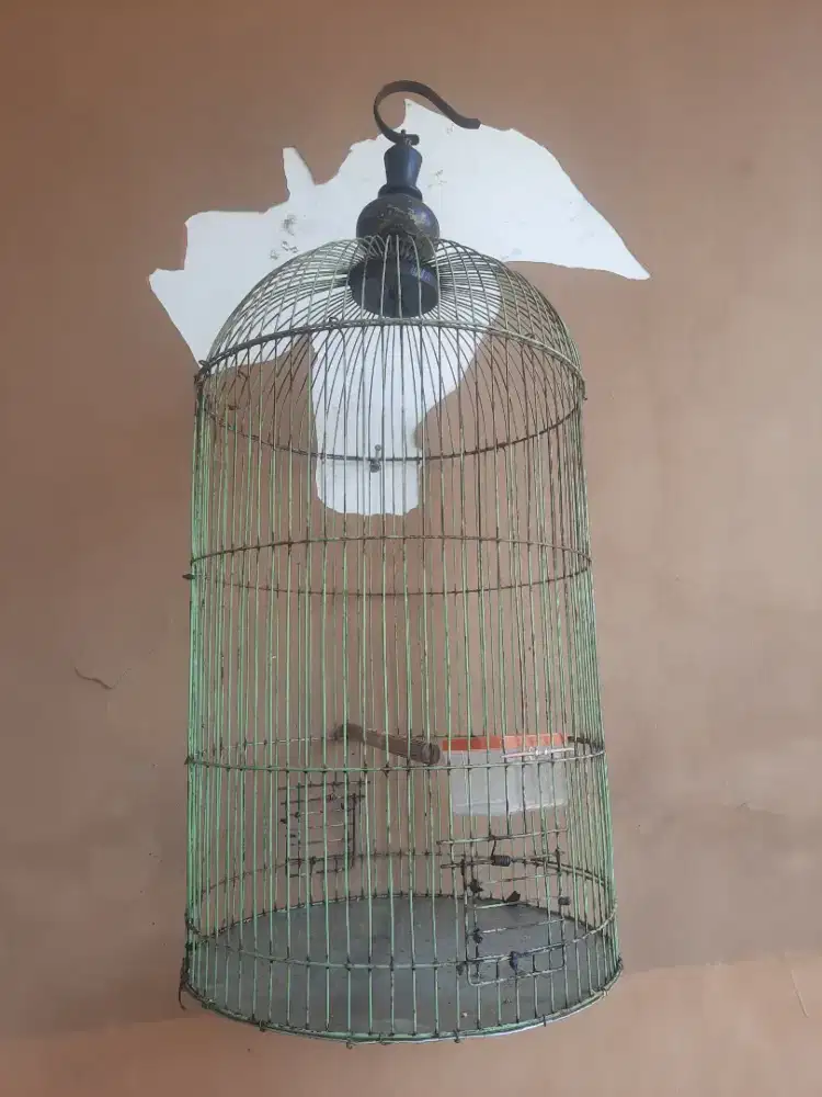 kandang burung besi
