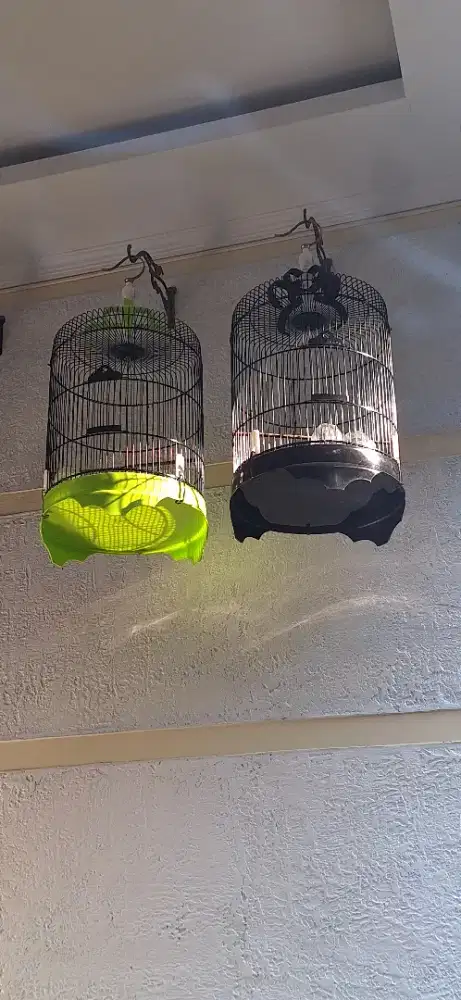 Sangkar burung besi ukuran 42