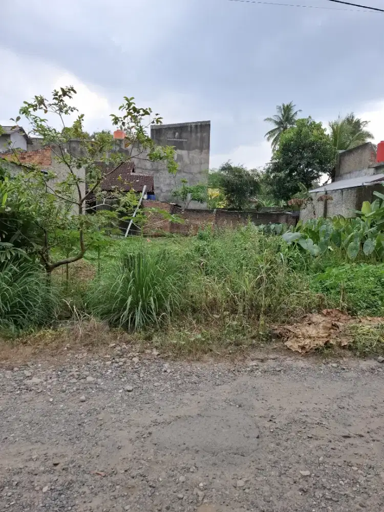 TANAH DI KAMPUNG BARU UNILA RAJABASA