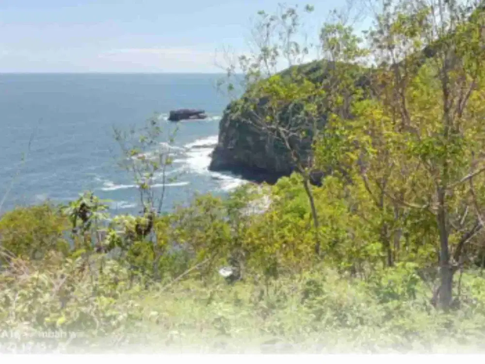 Dijual murah tanah luas 1,28 Ha view samudra indonesia tepus gunung kidul Yogya.