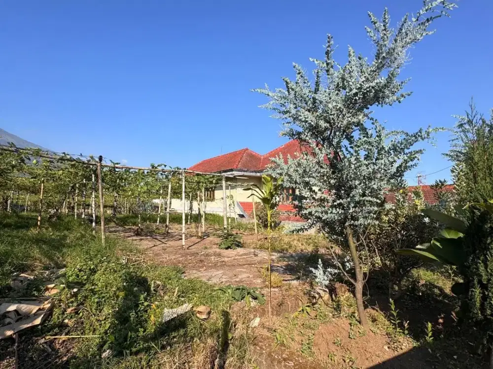 Dijual tanah murah samping loket wisata kota batu