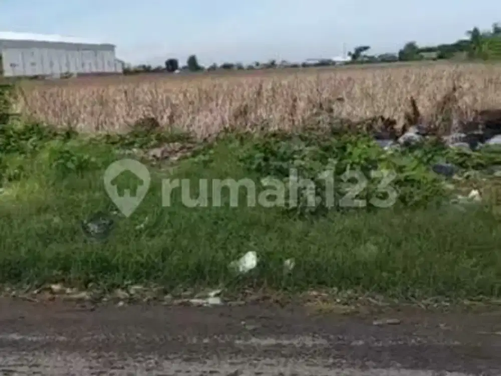 Tanah Dekat Komp. Citraland Cocok untuk Perumahan dan Gudang