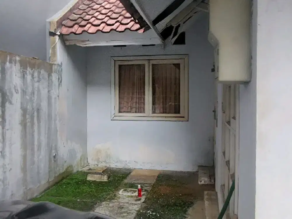 Rumah Minimalis Dengan Taman Di Belakang Rumah Di BSD