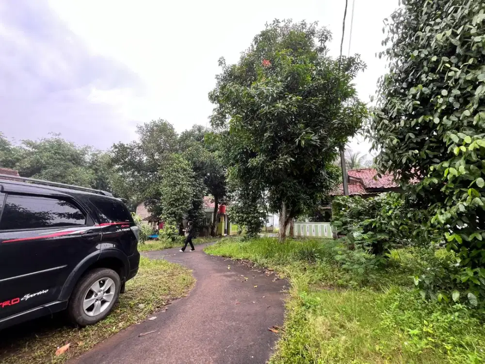 Bisa Cicil 30 Kali Tanpa Bunga - Tanah SHM Termurah 70Jtan Sindang Jaya Dekat Suvarna Sutera - Strategis Investasi/Hunian