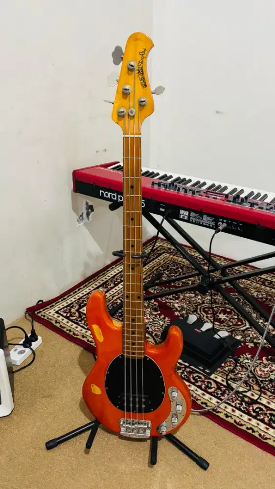 Music man Stingray