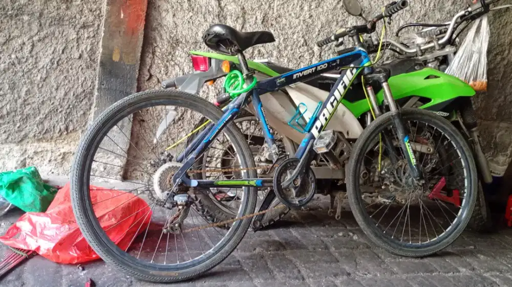 Sepeda gunung merek Pacific Alloy Shimano 26