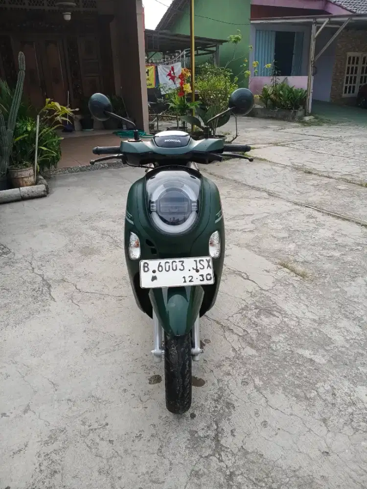 HONDA SCOOPY 2025