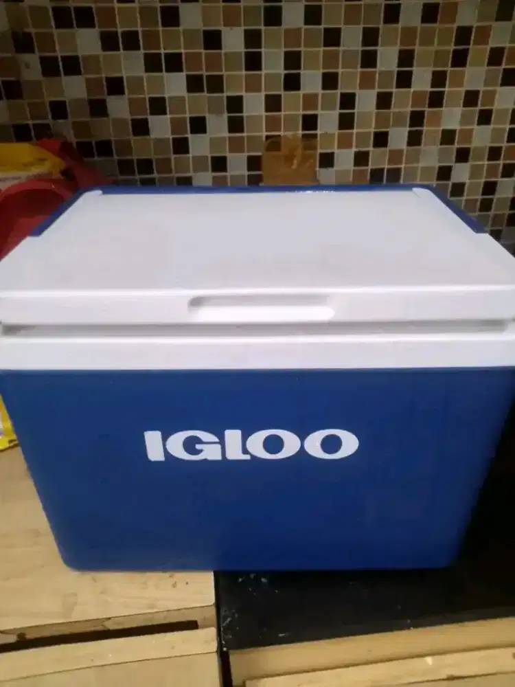 Cooler Box (Kapasitas 5 Liter)