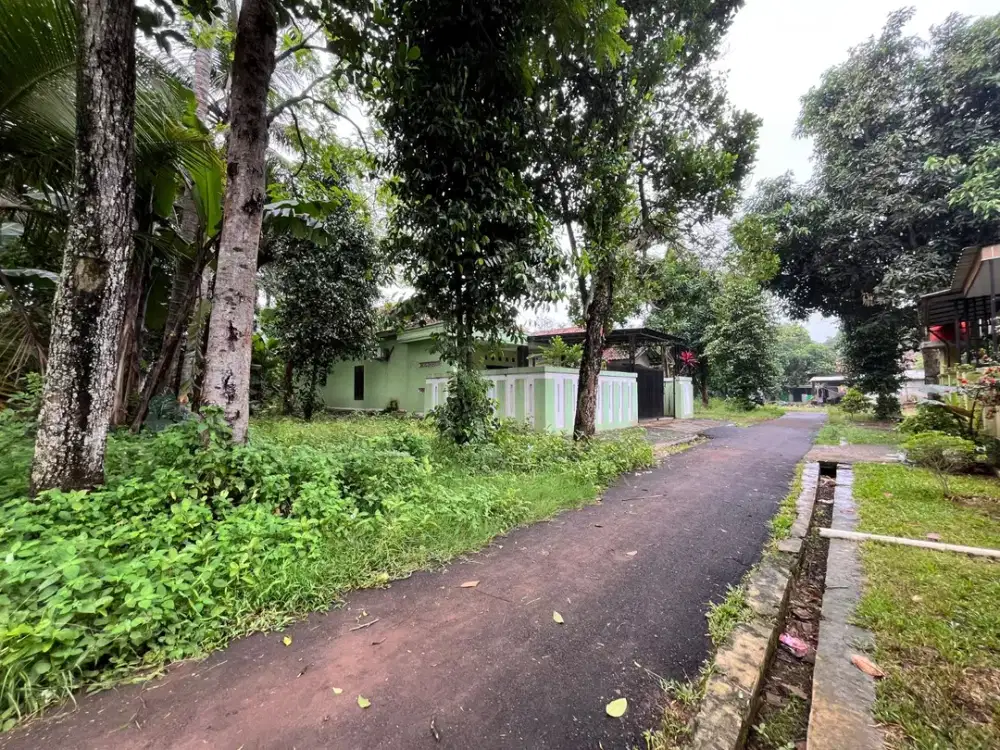 Bisa Cicil 30 Kali Tanpa Bunga - Tanah SHM Termurah 70Jtan Sindang Jaya Dekat Suvarna Sutera