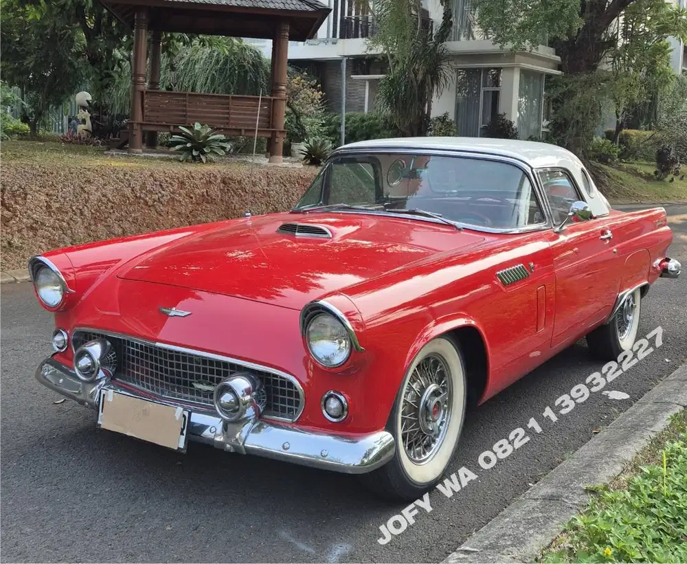 ford thunderbird 1956 museum condition