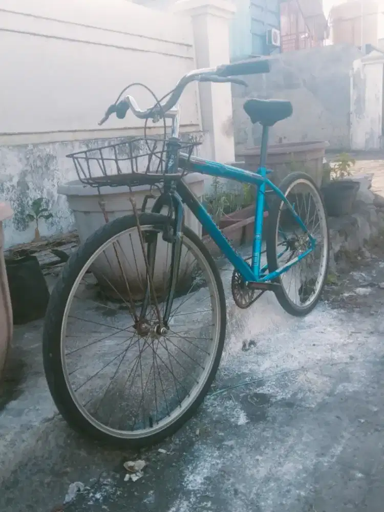 Polygon vintage