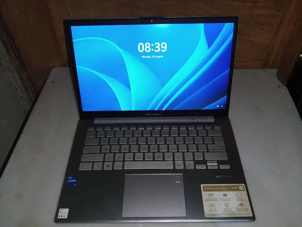 Asus Vivobook go