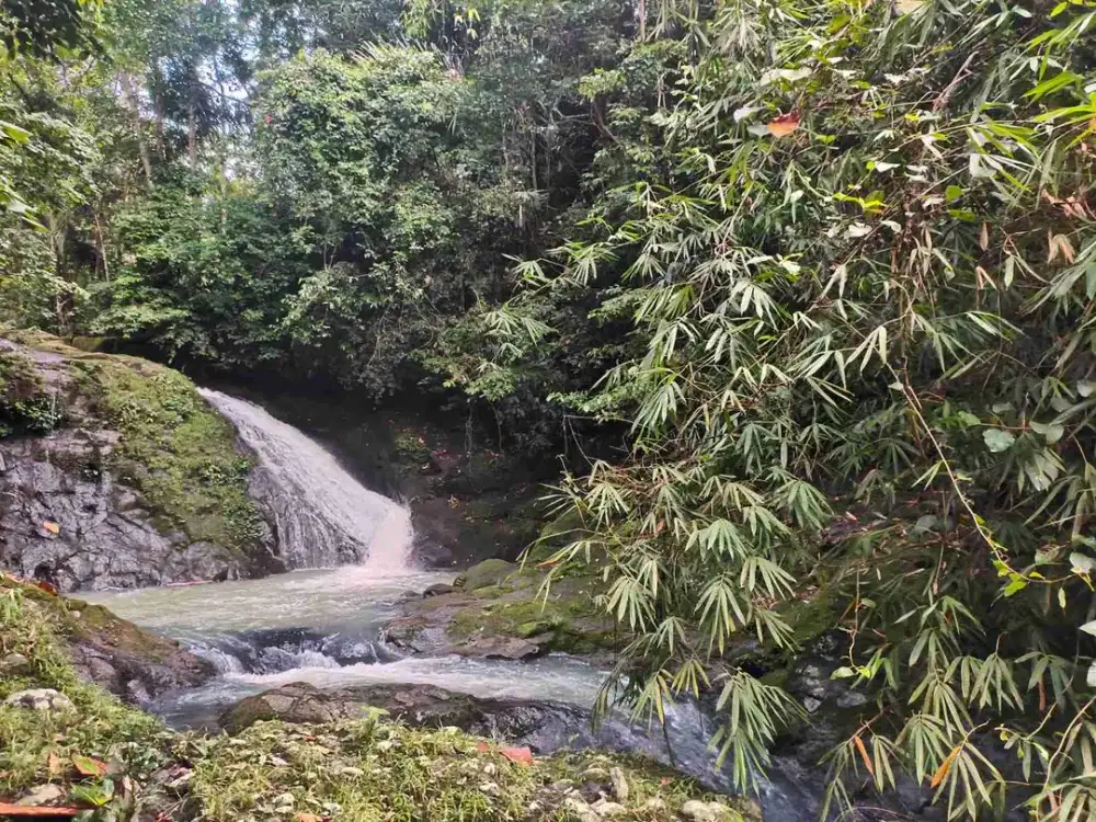 jual tanah kebun view air terjun kawasan villa di tabanan bali.