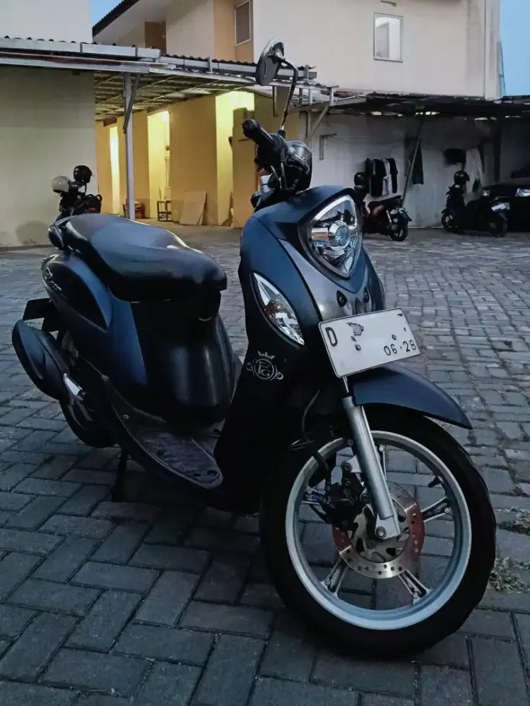 Fino grande 2018