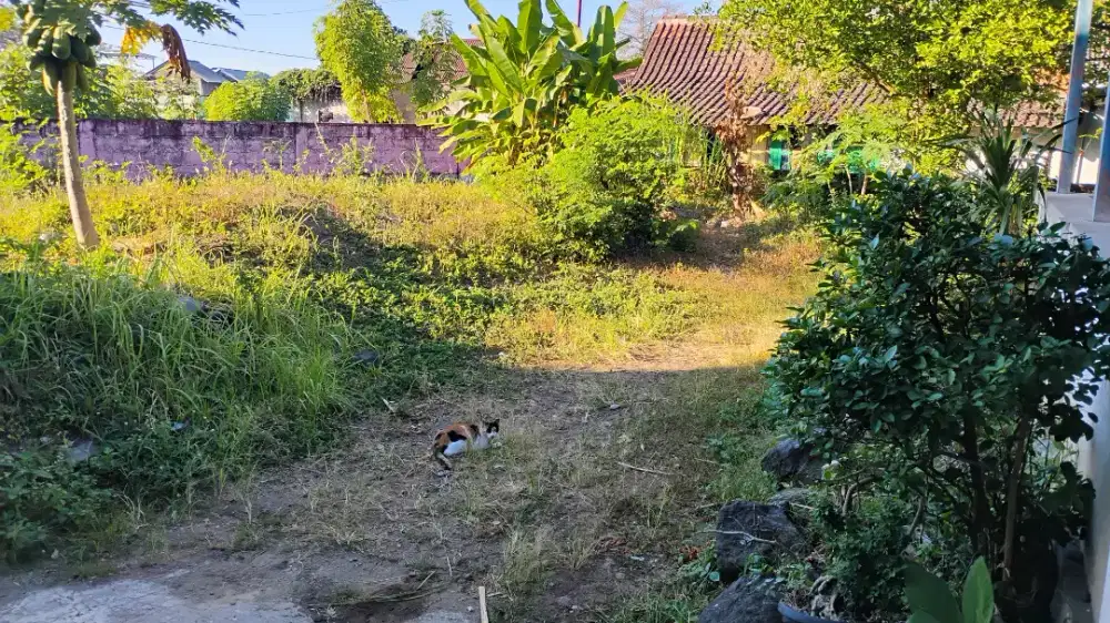 Tanah dekat RS bethesda kampus UKDW Klitren Gondokusuman