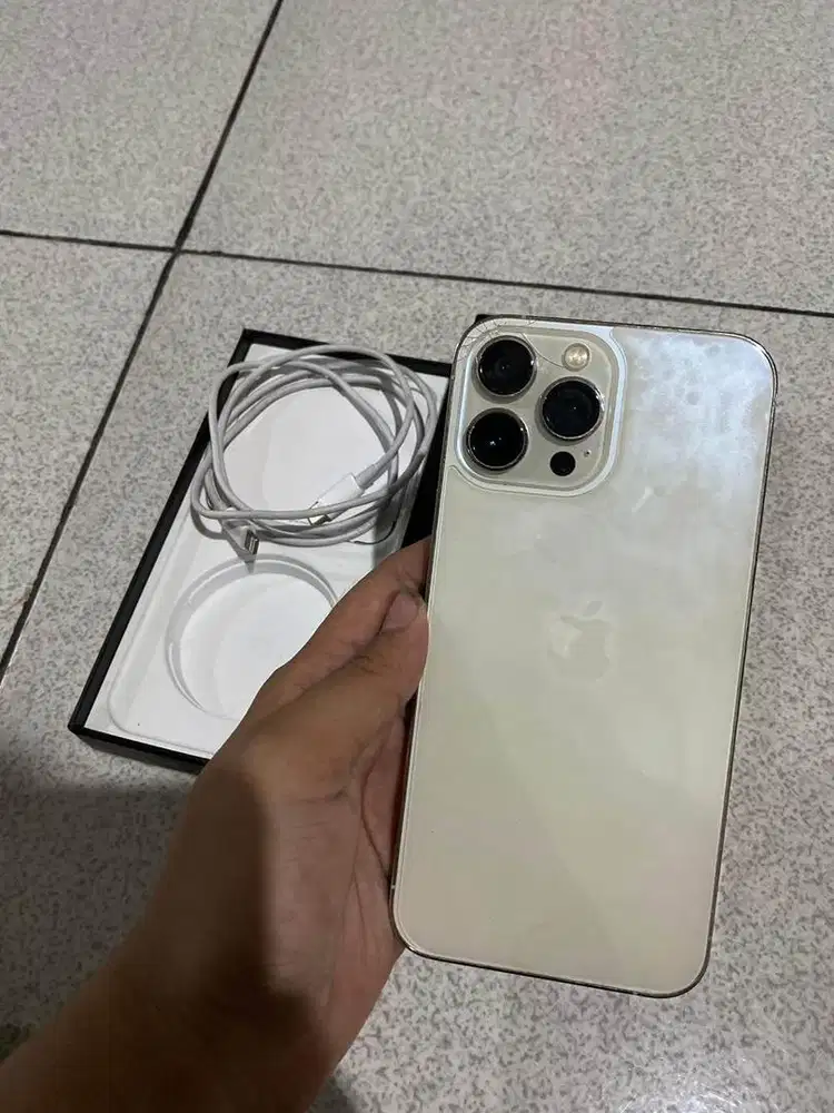 IP 13PROMAX 128gb inter