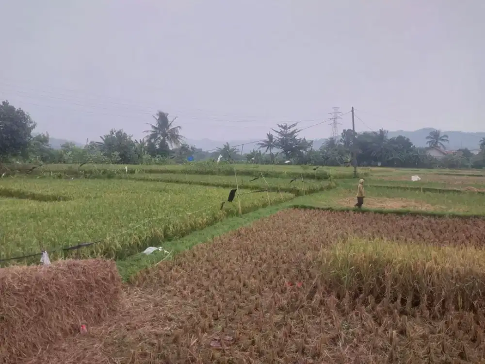 Dijual Cepat Tanah Kavling pinggir jalan raya dekat Pasar Ciputat, Tangerang Selatan