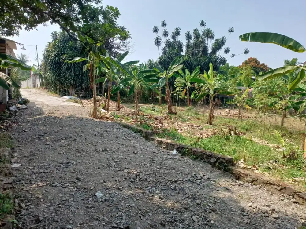 Dijual Cepat Tanah 500Meter Dekat Masjid Kubah Emas Depok