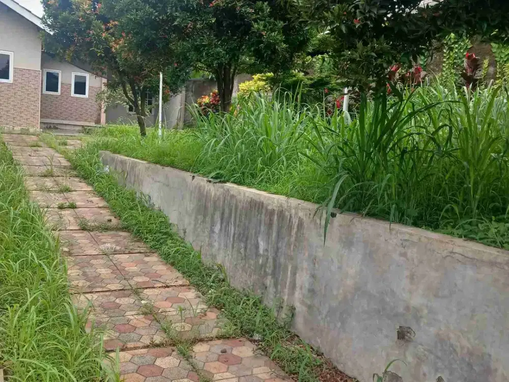 Disewakan Rumah Vila Asri dipinggir jln raya ciapus taman sari