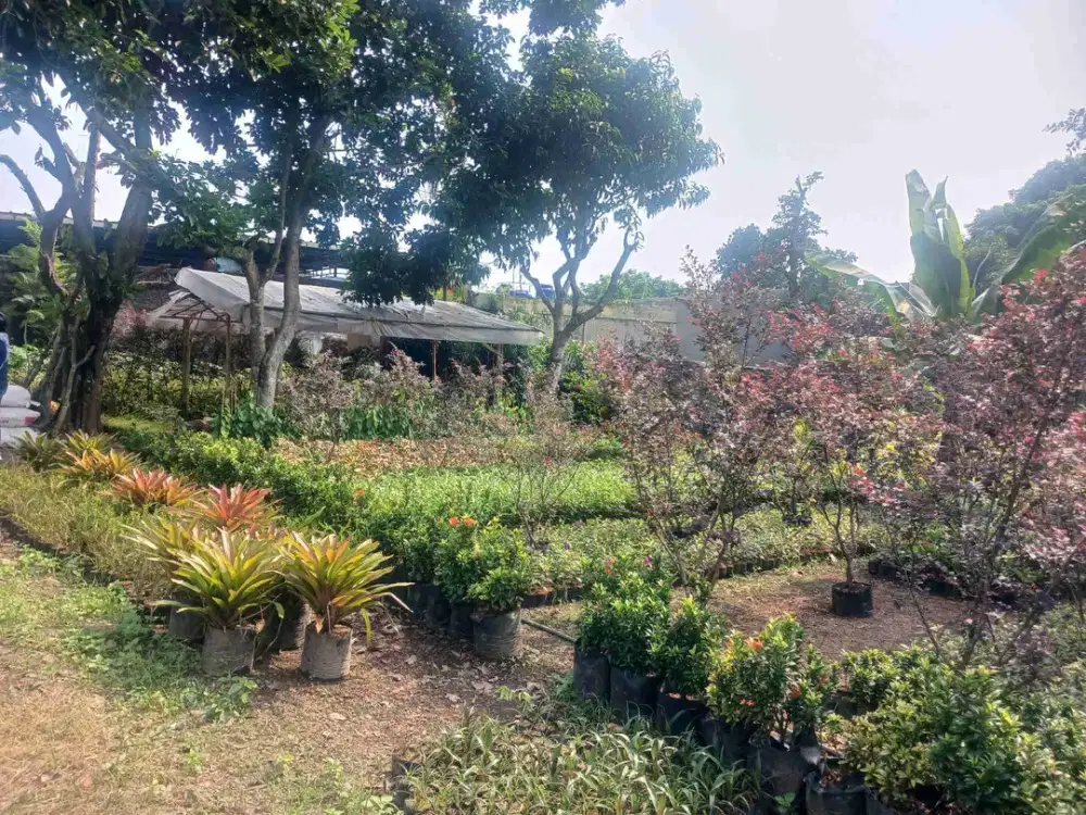 Dijual Tanah Terawat di dalam Komplek Paswalpres Bogor