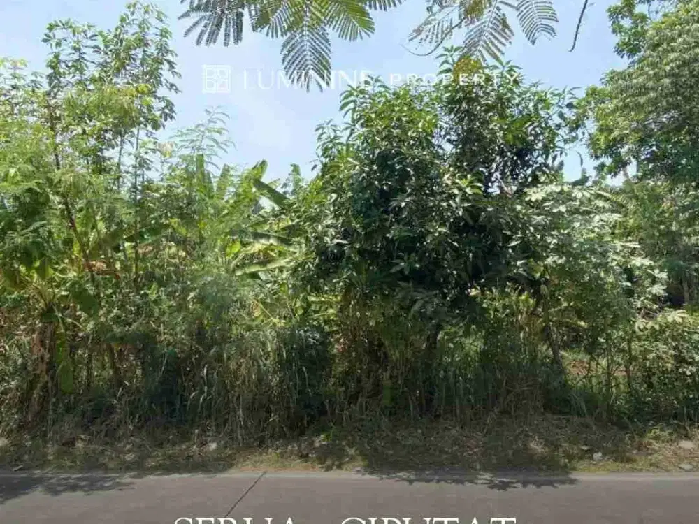 DIJUAL CEPAT TANAH MURAH DI SERUA, CIPUTAT - TANGSEL