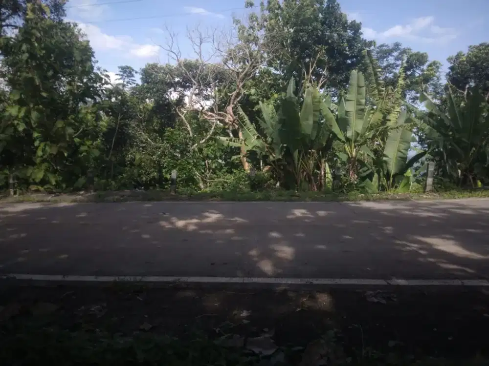 Tanah Pekarangan View Merapi dan Kota Klaten
