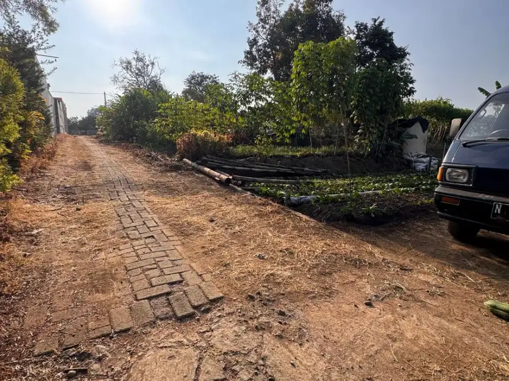 TANAH SIAP BANGUN KAWASAN VILLA, CAFE DAN PEMUKIMAN WARGA