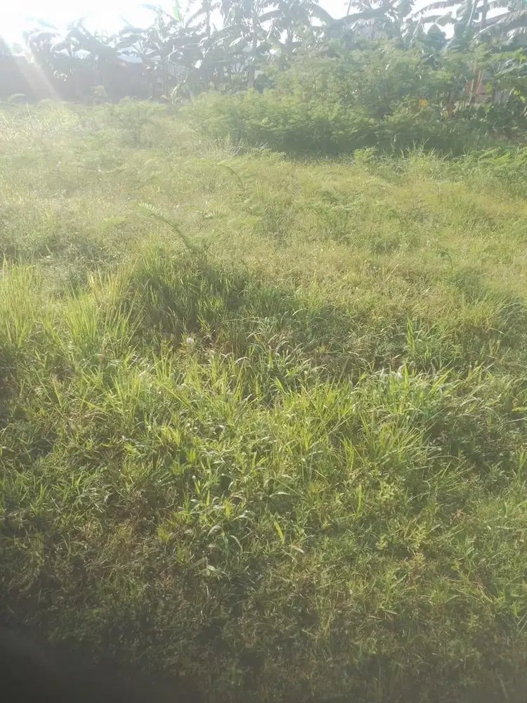 Jual tanah sertipikat seluas 7m x 14m