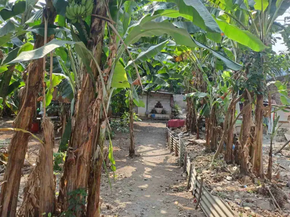 dijual tanah jln pancoran barat