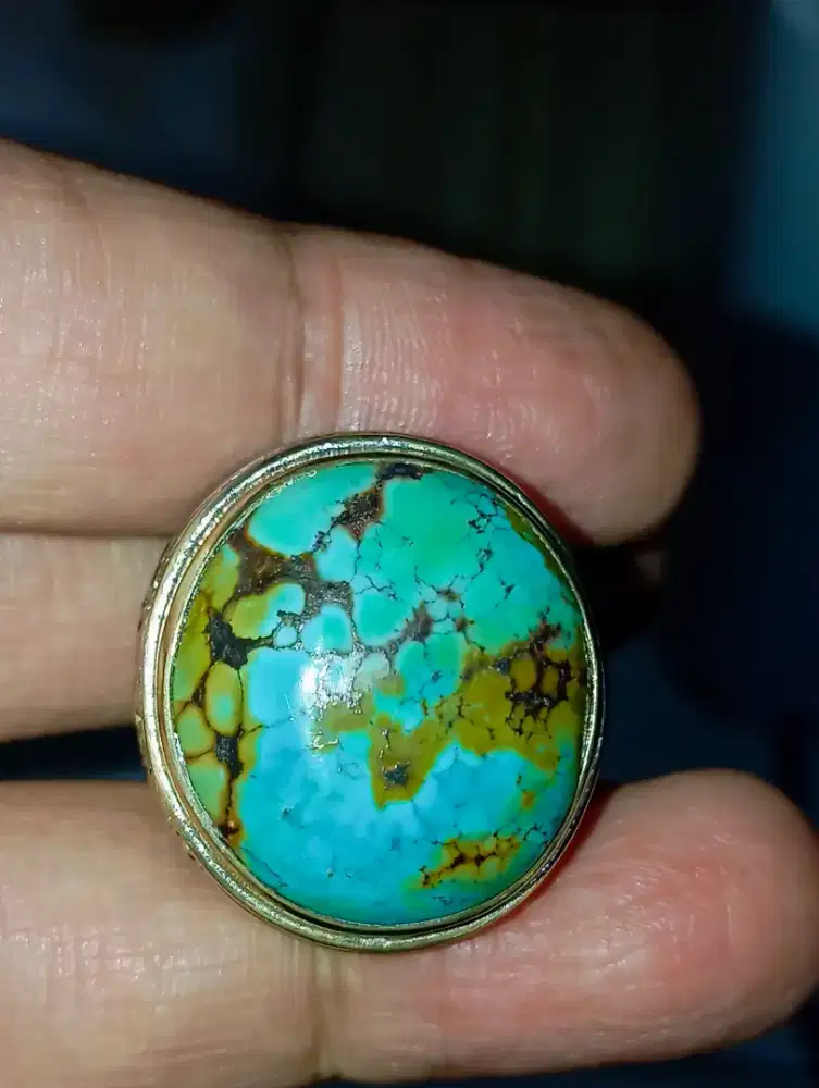 Pirus Hubei Multi Warna Lawas