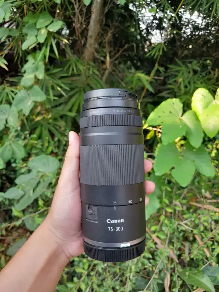 LENSA CANON RF 75-300 MM LIKE NEW