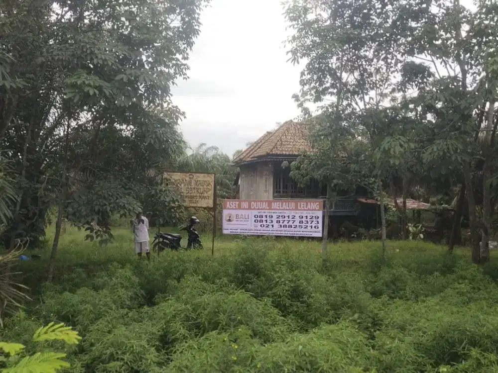 DIJUAL 17 BIDANG TANAH KOSONG