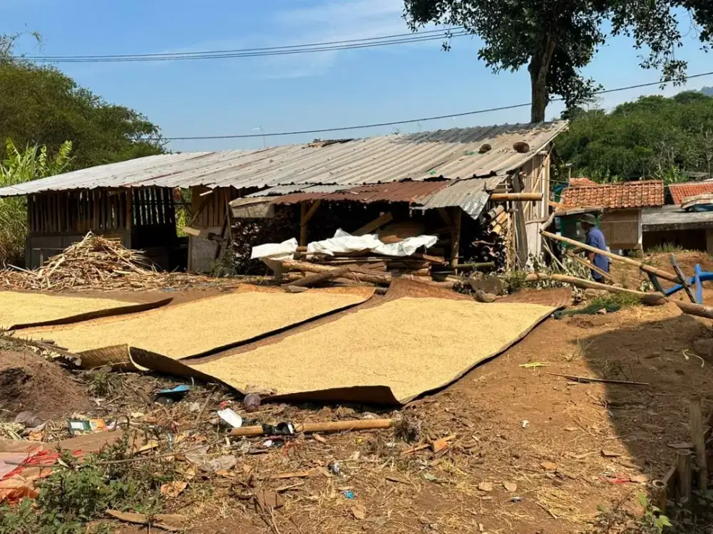 DIJUAL KAVLING MULTIGUNA MAINROAD CIKUDA CILELES BLKG UNPAD JATINANGOR DKT APT MELATI